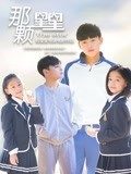 那颗星星海报