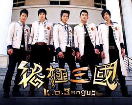 终极三国2009海报