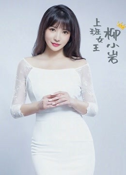 上班女王柳小岩海报