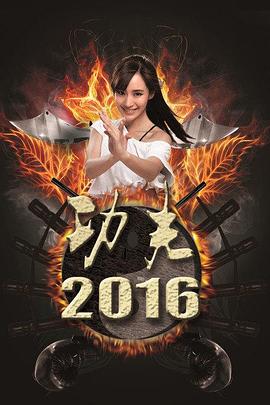 功夫2016海报