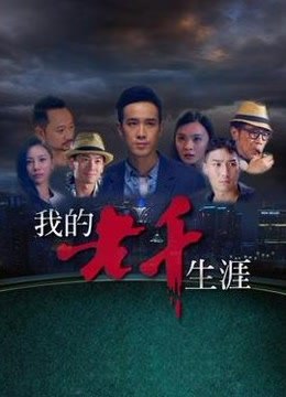 我的老千生涯海报