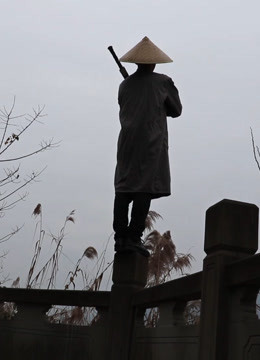 山药视频，您的美食专家