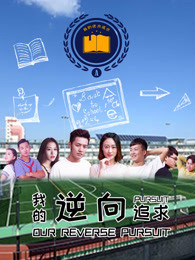 我的逆向追求海报