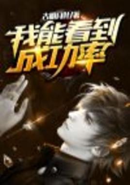 我能看到成功率海报